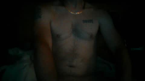 247365onit online show from June 30, 2:56 am