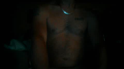 247365onit online show from August 2, 2:54 am
