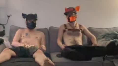 2pupsinheat online show from July 11, 12:45 am