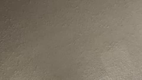 431mcnasty204 online show from March 13, 3:58 am