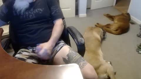 MASTIFF online show from October 13, 5:08 pm