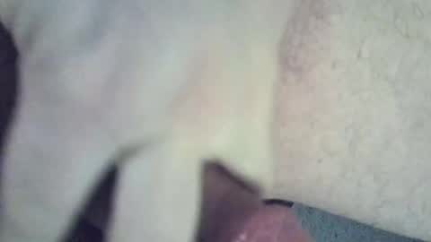 Maximilian Max online show from December 9, 6:23 am