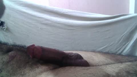 Massive hungry cock online show from July 20, 4:29 am