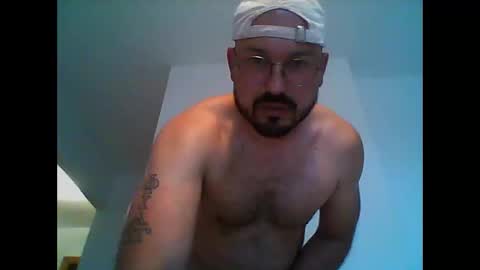 furby online show from May 3, 5:37 pm