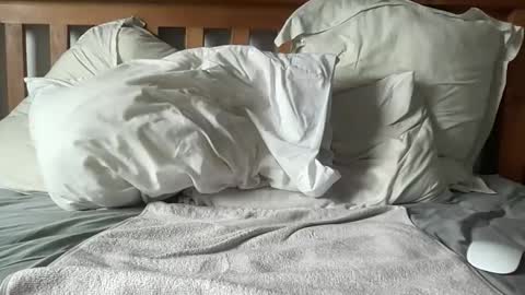 Kiwi online show from February 13, 11:43 pm