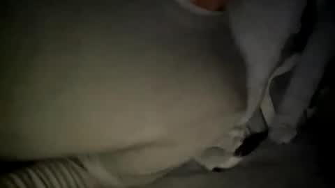 _lululeo_ online show from January 4, 7:45 am