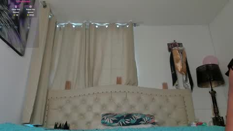 Adams online show from February 20, 12:36 pm