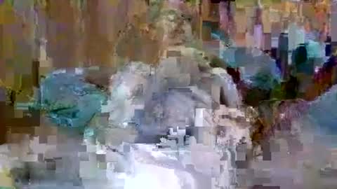 ajb5187517 online show from September 9, 10:37 am