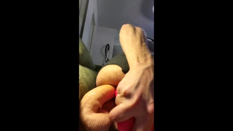 akila online show from March 21, 2:37 am