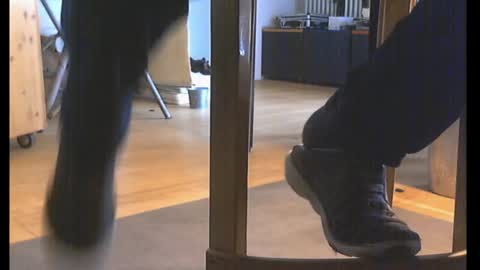 aldolechat online show from March 10, 8:39 am
