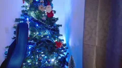 David online show from December 4, 2:29 am