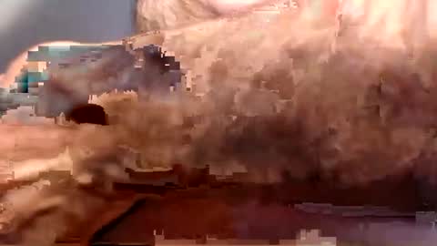 alexfan141 online show from February 21, 9:34 am