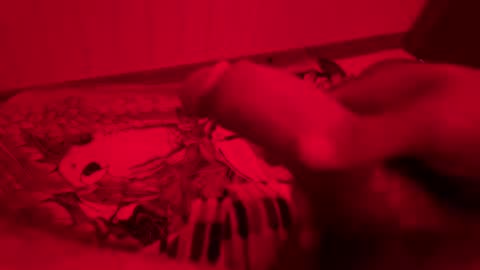 alllove2005 online show from August 10, 4:07 am
