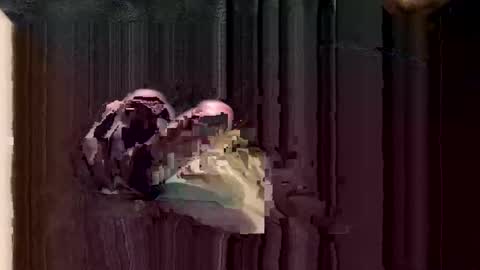 america24t online show from February 10, 5:01 am