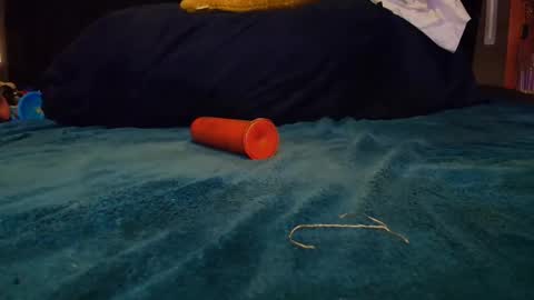 anal_slave6 online show from April 12, 3:31 am