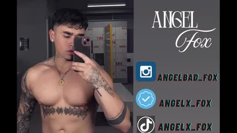 Angel Fox online show from November 15, 4:14 am