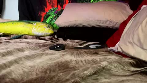 angusbone01 online show from December 17, 7:40 am