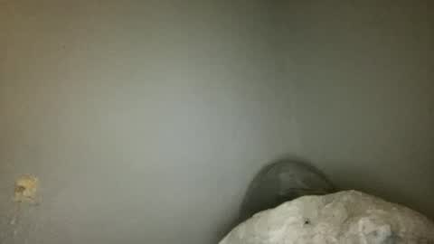 Animeboygirls online show from June 18, 3:41 am