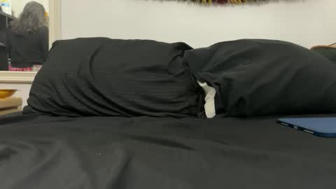 cowboy online show from November 18, 8:07 am