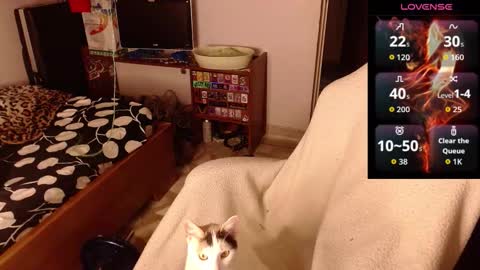 Andres online show from February 14, 8:31 am