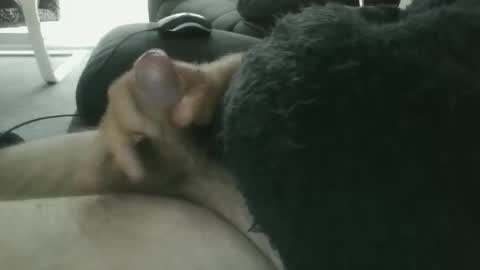 aussiehornybloke online show from January 9, 8:25 pm