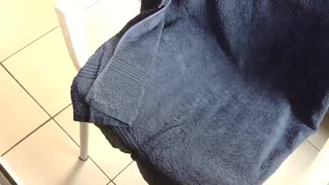 aviatoradz online show from November 9, 9:46 am