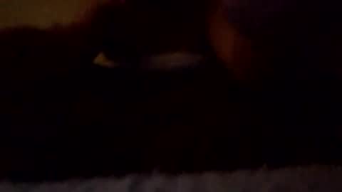 b_johnson530 online show from October 27, 8:05 am