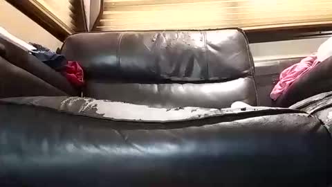 baobabtree10 online show from October 24, 3:58 pm