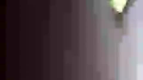 barrett4200 online show from August 6, 4:40 am