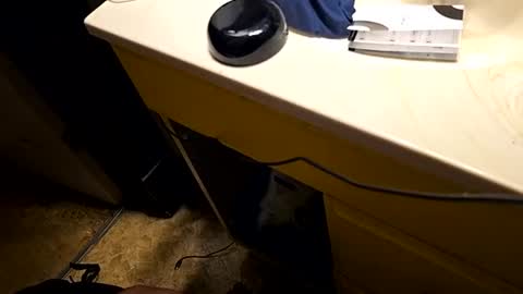 bbnbuck7777 online show from July 28, 10:56 am
