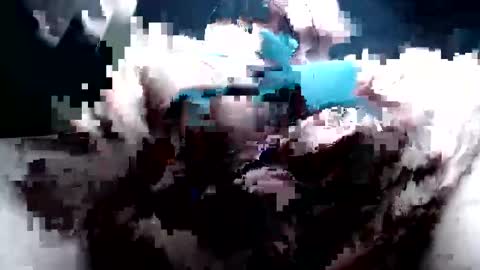 Buck online show from February 6, 6:21 am