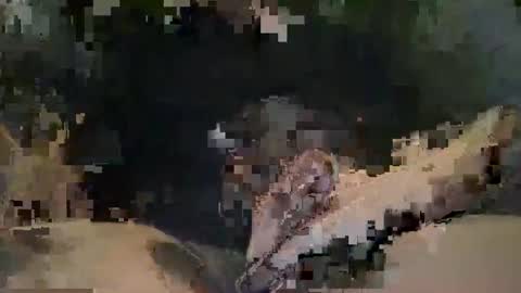 bd99bg online show from April 17, 3:42 am