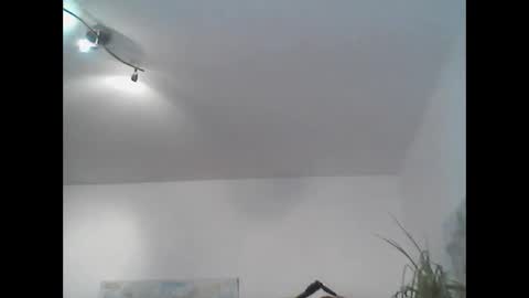 bear14250949 online show from November 2, 11:47 am