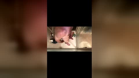 bendover4ne1 online show from November 30, 3:03 pm