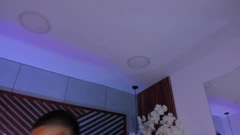 bento_fox online show from November 25, 3:41 am