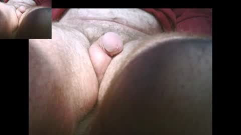 Snapshot of bernardo1968 chatting on January 15, 2:46 pm bernardo1968 online show from January 15, 2:46 pm