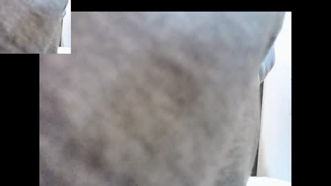 Snapshot of bernardo1968 chatting on January 1, 2:41 am bernardo1968 online show from January 1, 2:41 am