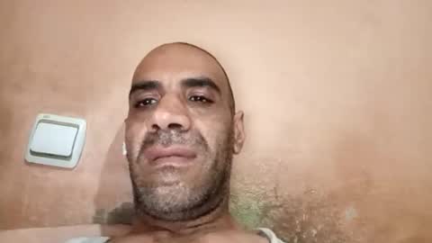 Cock arabic Authentic online show from June 6, 7:47 am