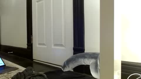 Ryan online show from December 4, 11:01 pm