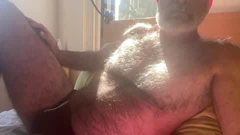 big bush online show from July 30, 2:33 am