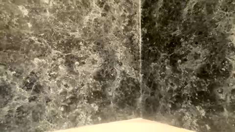 bigdinca online show from November 26, 7:44 am