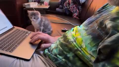 biggy508 online show from December 22, 4:06 pm