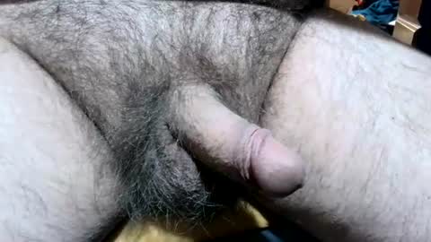 Bighairy bud online show from June 13, 1:03 am