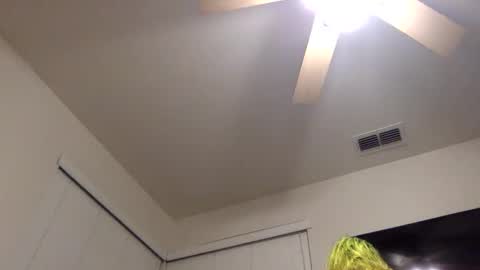 Bigkhaos online show from November 15, 11:34 am