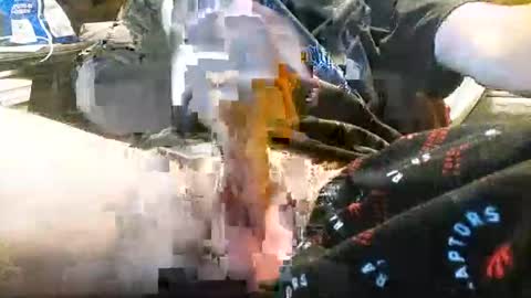 BigBoy  online show from October 16, 9:50 am