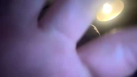 Snapshot of bigmike3339 chatting on January 7, 5:35 am bigmike3339 online show from January 7, 5:35 am