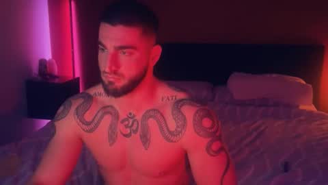 Gogo online show from November 11, 3:33 am