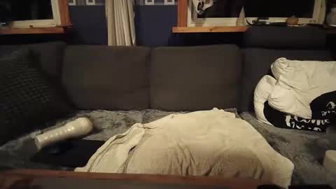 bigswe1 online show from January 31, 4:36 am