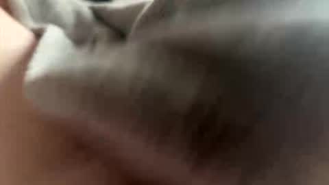 bigthickreadytobust online show from May 17, 3:30 pm