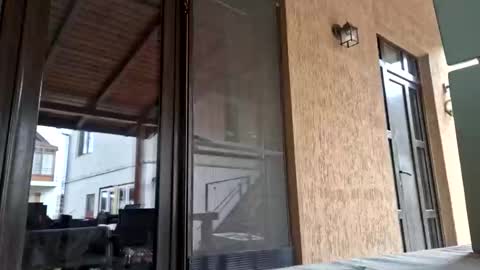 bisexdadd online show from September 27, 8:12 am